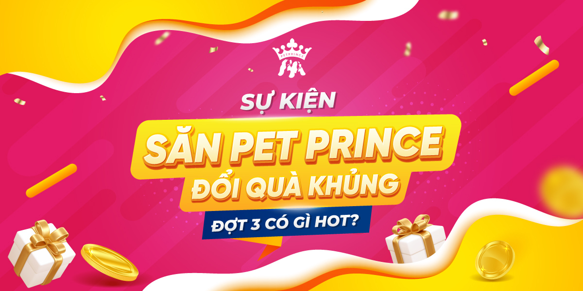 Săn Pet Prince đợt 3 có gì hot?