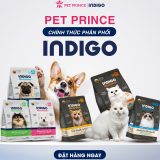 PET PRINCE CHÍNH THỨC PHÂN PHỐI INDIGO