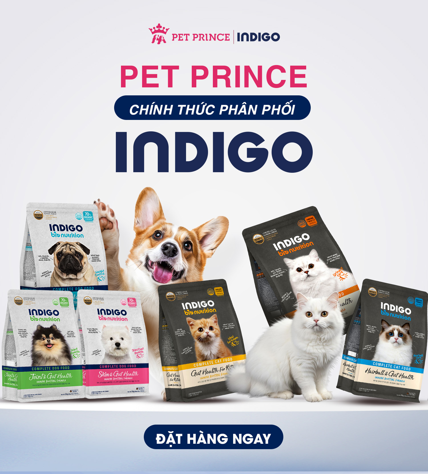 PET PRINCE CHÍNH THỨC PHÂN PHỐI INDIGO