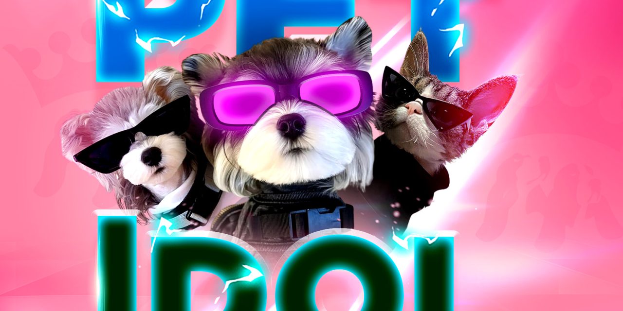 Pet Idol – Khi thú cưng trở thành ngôi sao